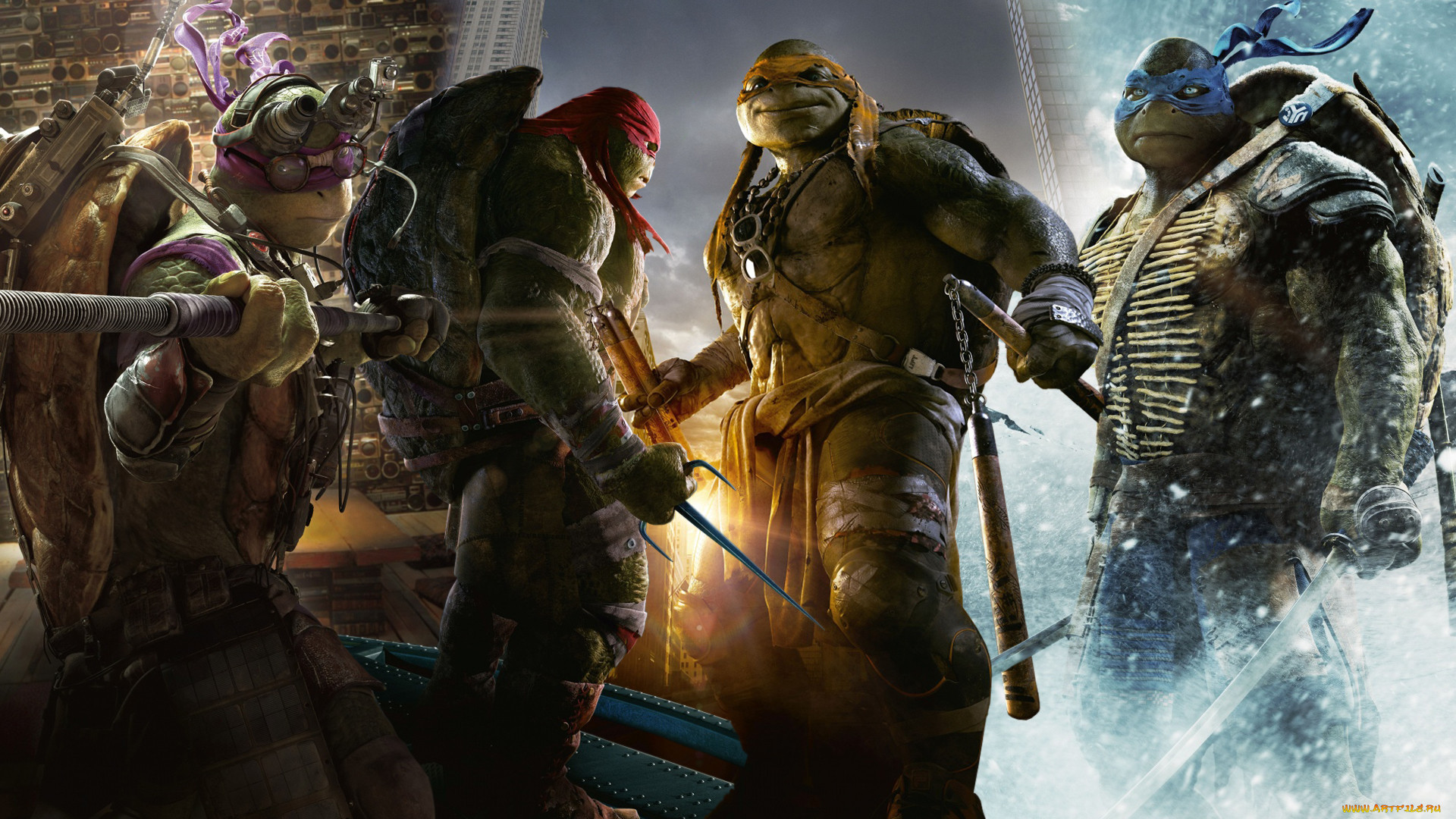  , teenage mutant ninja turtles, raphael, , leonardo, , , donatello